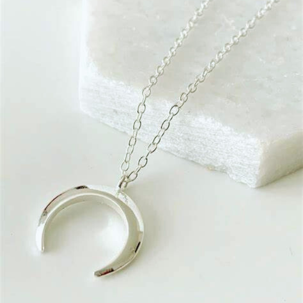 Horseshoe Pendant Necklace